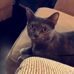 Meet your Posher, Nancy